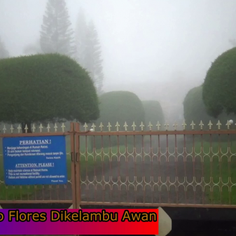 Gemulai Kelambu Awan Mataloko Flores