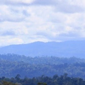 Beberapa Tokoh Adat Dan Tokoh Kaharingan Terus Mengecam Akibat Kerusakan Wilayah Sakral Gunung Pi-Puyan
