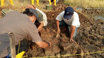 TACB Indramayu Sosialisasi Temuan Candi Sambimaya
