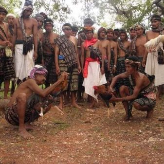 RITUAL ADAT TALI MANU DAB”BA DI KABUPATEN SABU RAIJUA, NTT