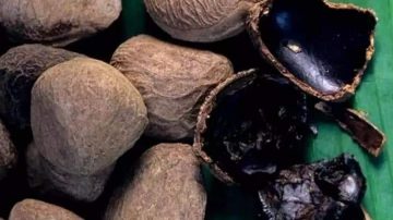 Ragam Kuliner Khas Nusantara Berbahan dasar Kluwek/Pucung