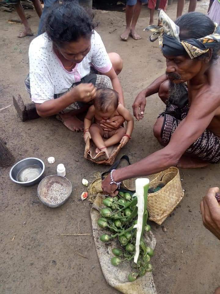 Asal Muasal Upacara Adat Dabba Ana di Kabupaten Sabu Raijua, Propinsi Nusa Tenggara Timur