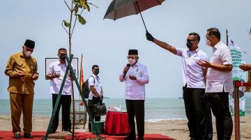 Wapres RI K.H. Ma’ruf Amin : Penanaman 300 Pohon Ketapang, Upaya Mitigasi Bencana