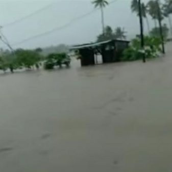 Akibat Hujan Lebat, Puluhan Hektar Sawah Warga Ledeana Sabu NTT Terendam Banjir