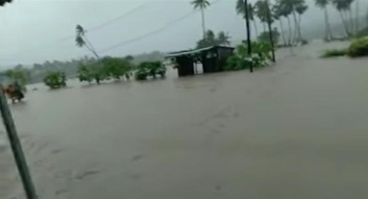 Akibat Hujan Lebat, Puluhan Hektar Sawah Warga Ledeana Sabu NTT Terendam Banjir