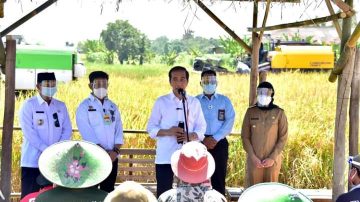 Jokowi Kunjungi Panen Raya Di Indramayu Dan Bertemu Kartini Modern