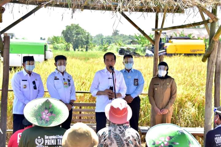 Jokowi Kunjungi Panen Raya Di Indramayu Dan Bertemu Kartini Modern