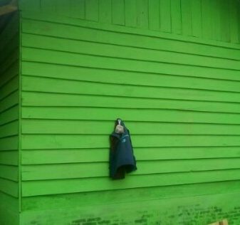 Baitul Mal Kota Langsa Berikan Rumah  Kepada Warga Kurang Mampu