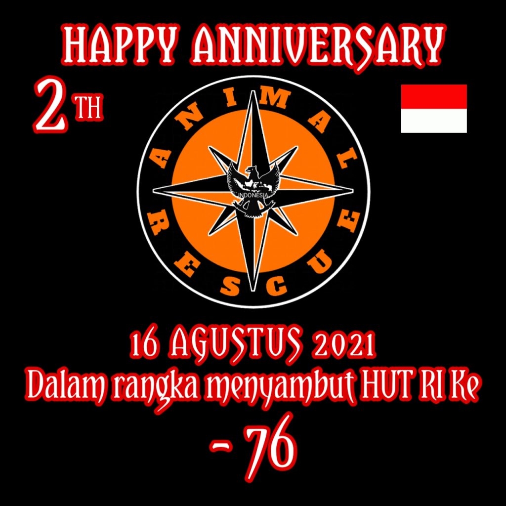 ANIMAL RESCUE INDONESIA, Rayakan Ulang Tahun Ke-2