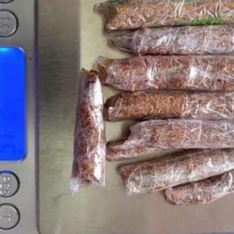 Aksi Percobaan Penyelundupan Narkoba di Lapas Narkotika Klas IIA Jelekong, Kabupaten Bandung  Terungkap