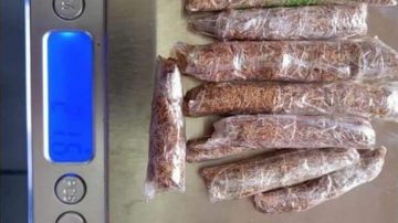 Aksi Percobaan Penyelundupan Narkoba di Lapas Narkotika Klas IIA Jelekong, Kabupaten Bandung  Terungkap