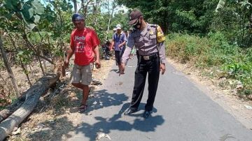 Tertimpa Pohon Pasutri Meninggal