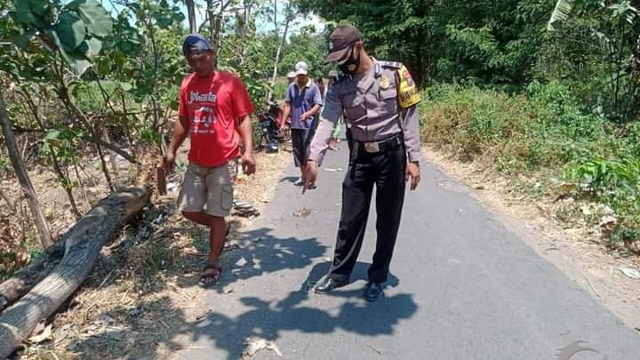 Tertimpa Pohon Pasutri Meninggal