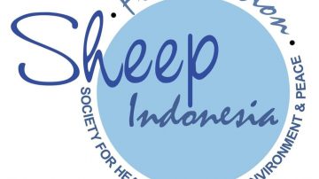 Yayasan SHEEP Indonesia Terus Berjuang Membangun Sabu Raijua