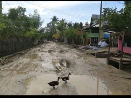 Kondisi Jalan Poros Desa Punaga Tidak Ada Perhatian Pemda Takalar