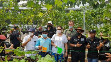 Pencanangan Budidaya Anggur di Jakarta Utara Disaksikan Duta Besar Ukraina