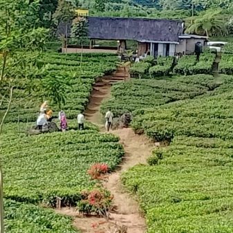 Prawita GENPPARI Beri Pelatihan Desa Wisata
