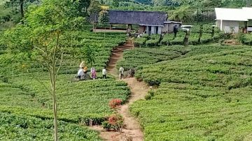 Prawita GENPPARI Beri Pelatihan Desa Wisata