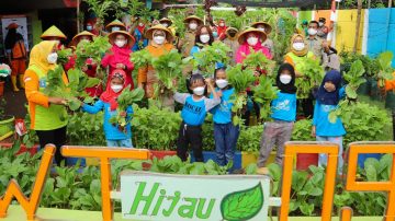 Bersama Bocil, Ketua TP PKK DKI Panen Sayuran di Kebun KWT Hijau Daun