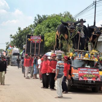 Sedekah Bumi Didesa Pegagan Kec. Losarang Berlangsung Meriah