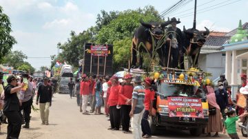 Sedekah Bumi Didesa Pegagan Kec. Losarang Berlangsung Meriah
