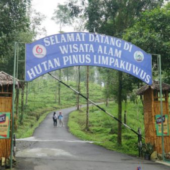 Potensi Hutan Pinus LIMPAKUWUS Sebagai Ekowisata di Baturaden