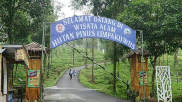 Potensi Hutan Pinus LIMPAKUWUS Sebagai Ekowisata di Baturaden