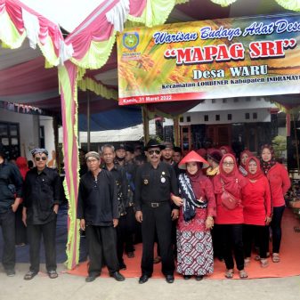 Lestarikan Budaya Jawa Tradisi Adat Desa Mapag Sri, Desa Waru Sambut Masa Panen