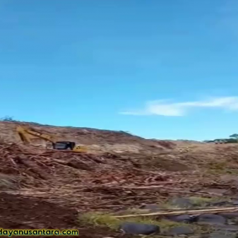 Nawacita Waduk Lambo Nagekeo, Apa Langkah Lestari Ritus Adat