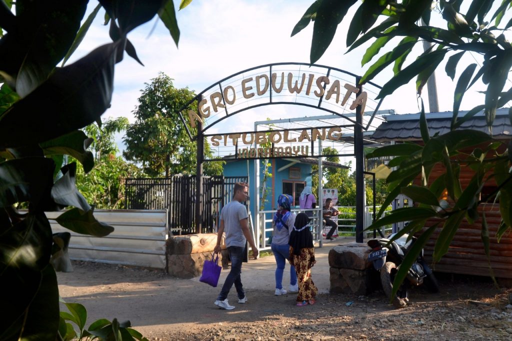 Polemik Dugaan Pungli Tiket Masuk Agro Eduwisata Jatisura Indramayu