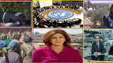 Kejahatan Perang Penembakan Jurnalis Shireen, PBB Kutuk Dan Sikapi