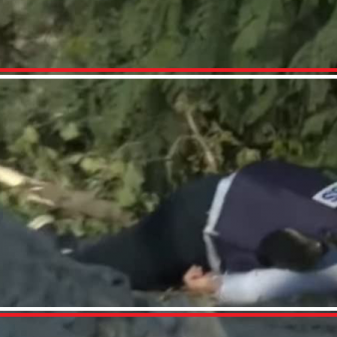 Penghormatan, Jenazah Jurnalis Shireen Diarak Para Wartawan