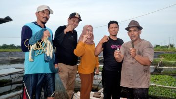 Desa Pringgacala, Kembangkan Pertanian Hortikultura