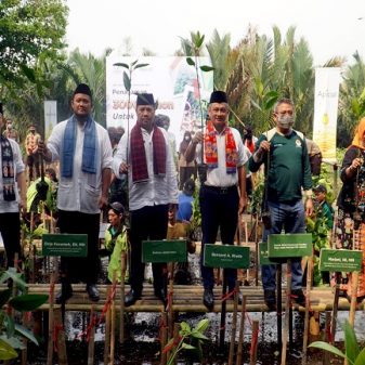 Rayakan HUT DKI Jakarta, Apical Group Bersama Pemprov DKI Tanam 3000 Mangrove