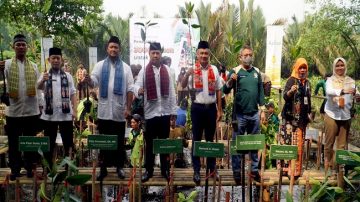 Rayakan HUT DKI Jakarta, Apical Group Bersama Pemprov DKI Tanam 3000 Mangrove