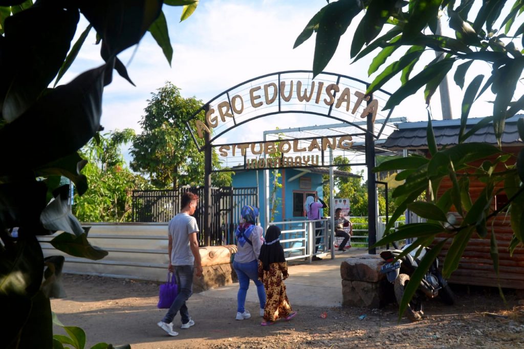 Agro Edu Wisata Situ Bolang Indramayu, Pilihan Kegiatan Untuk Mengisi Acara Perpisahan Sekolah