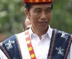 Presiden Jokowi : NTT Paling Cocok Tanam Sorgum