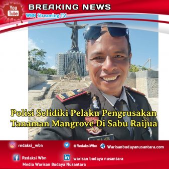Polisi Selidiki Pelaku Pengrusakan Tanaman Mangrove Di Sabu Raijua