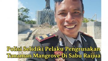 Polisi Selidiki Pelaku Pengrusakan Tanaman Mangrove Di Sabu Raijua