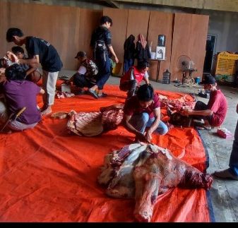 Sambut Hari Raya Idul Adha 1443 H, Mahaiida Foundation Distribusikan Hewan Qurban PT FAST dan PT HAII