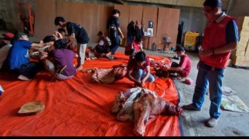 Sambut Hari Raya Idul Adha 1443 H, Mahaiida Foundation Distribusikan Hewan Qurban PT FAST dan PT HAII
