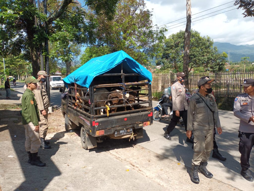 Antisipasi PMK, Satpol PP Kab.Bandung Laksanakan Pengawas Hewan Kurban