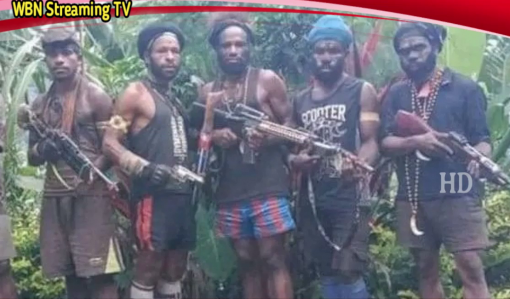 Aksi KKB Meningkat, Anggota Komisi X DPR RI Usul Operasi Gabungan