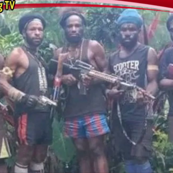 Aksi KKB Meningkat, Anggota Komisi X DPR RI Usul Operasi Gabungan