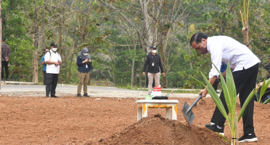 Presiden Jokowi Dorong Petani Tanam Bahan Pangan Substitusi Pangan Impor