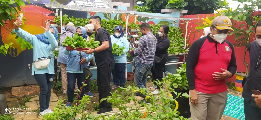 Babinsa 06 CP Ikuti Panen Tanaman Hidroponik