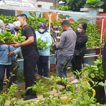 Babinsa 06 CP Ikuti Panen Tanaman Hidroponik