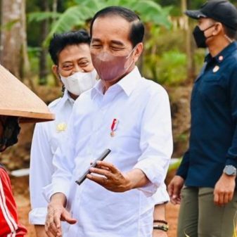 Presiden Jokowi Perkenalkan Kelapa Genjah Pada Petani