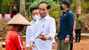 Presiden Jokowi Perkenalkan Kelapa Genjah Pada Petani