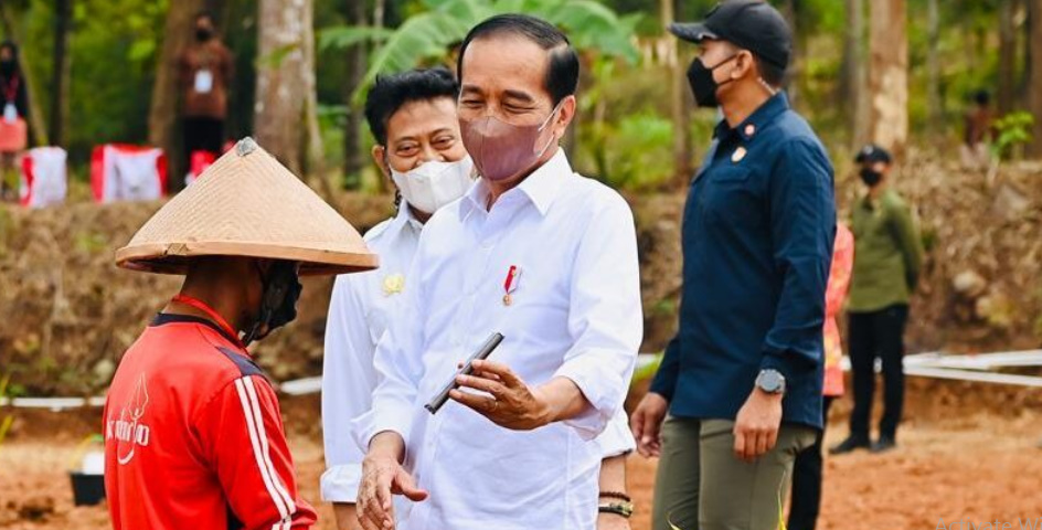 Presiden Jokowi Perkenalkan Kelapa Genjah Pada Petani